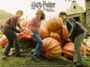 Harry Potter & The Prisoner of Azkaban