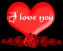 i love you