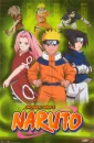 team 7