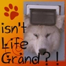 isnt life grand