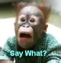 Say What? 
