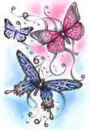 butterflys