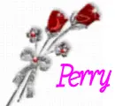 perrys flowers