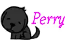 perry puppy
