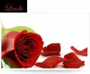 linda with roses