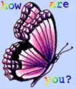 How are you