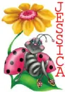 ladybug firt name JESSICA