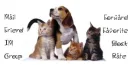 Dog and cats