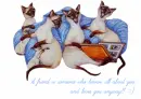 Siamese Friends