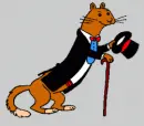Ferret