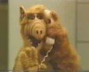 Alf