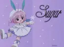 A Little Snow Fairy Sugar