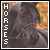 all about horses