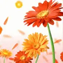 flowers....orange