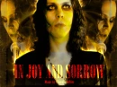 HIM - In Joy And Sorrow