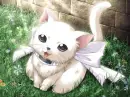 cute cat..