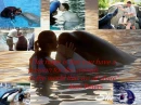 Ken Peters Quote on Passion for Animals