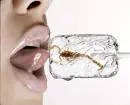 lickit