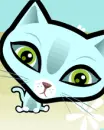 licky cat