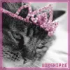 ^^Worship Me^^
