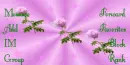 Pink Roses