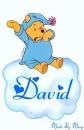 David With Winnie The Pooh