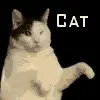 Meow Meow