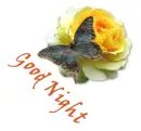 good night