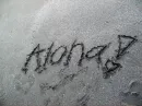 aloha