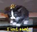 I lost a bet