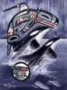 Orcas of the Pacfic