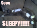 So sleepy!
