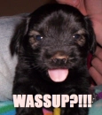 Wassup?!!!