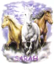 First name Sarah 3 horses