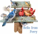 Love From Perry