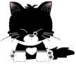 kity 