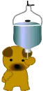 bear