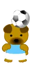 soccer bear