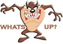 WHATS UP?