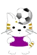 soccer kitty