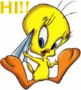 Hi