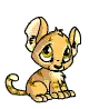 sad kitty