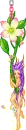 flower faery