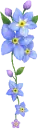 blue flowers