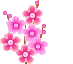 pink flowers