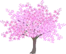 pink blosoom tree