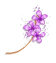 purple flowers
