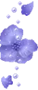 purple flower