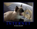 Internet