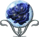 Rose in globe